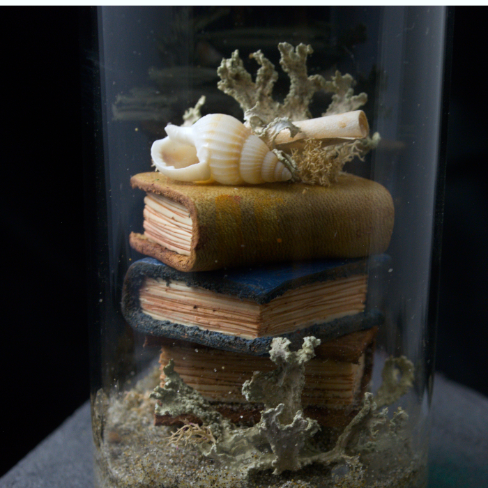 Sea Tomes X02