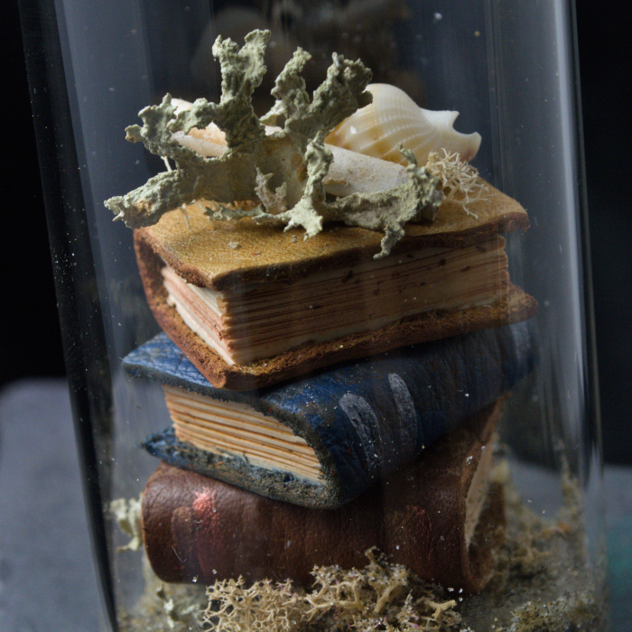 Sea Tomes X02