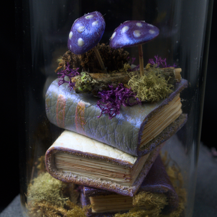 Shimmerooms, photo 1